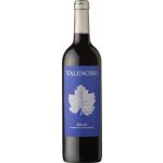 Valenciso Rioja Reserva 2018 Červené 14,5% 0,75 l (holá láhev) – Hledejceny.cz