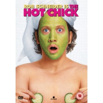 The Hot Chick DVD