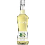 Monin Elderflower 0,7 l – Zboží Mobilmania