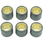 Závaží variátoru ATHENA S41000030P058 d 20x17 - gr. 11,5 – Zboží Mobilmania