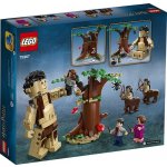 LEGO® Harry Potter™ 75967 Zapovězený les: Setkání Drápa a profesorky Umbridgeové – Hledejceny.cz