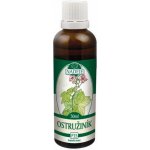 Naděje Ostružiník tinktura z pupenů 50 ml – Hledejceny.cz