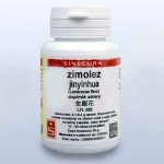 Sinecura Zimolez jinyinhua extrakt prášek 20 g – Hledejceny.cz