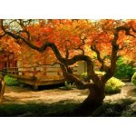 WEBLUX 37314697 Samolepka fólie Tree in an Asian Garden Strom v asijské zahradě rozměry 200 x 144 cm – Hledejceny.cz