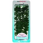 Tetra Green Cabomba Plus 23 cm – Zboží Mobilmania