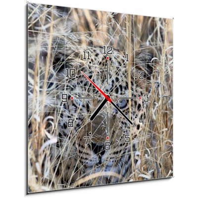 Obraz s hodinami 1D - 50 x 50 cm - The Eyes leopard africa namibia