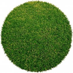 Betap Botanic kruh zelená průměr 200 x 200 cm