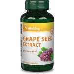 Vitaking Grapeseed Extract 400 mg 90 kapslí – Hledejceny.cz
