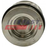 Fast FST FT47124/0