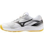 Mizuno Cyclone Speed 5 V1GA258098 – Zboží Dáma