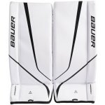 BAUER S24 Prodigy YTH – Hledejceny.cz