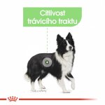 Royal Canin Medium Digestive Care 3 kg – Hledejceny.cz