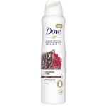 Dove Nourishing Secrets Nurturing Ritual deospray 150 ml – Zbozi.Blesk.cz