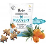 Brit snack Recovery herring & sea buckthorn 150 g – Zboží Mobilmania