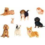 Pohlednice Pejsci – Zboží Dáma