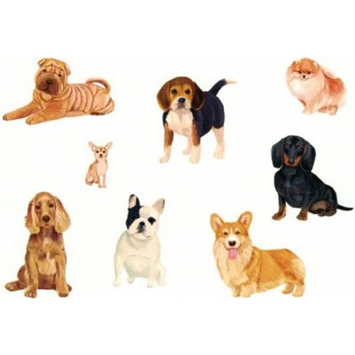 Pohlednice Pejsci – Zboží Dáma