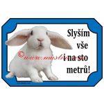 Cedulka králík zakrslý beran rex - Se samolepicí vrstvou – Hledejceny.cz