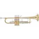 Bach TR450 – Zbozi.Blesk.cz