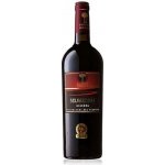 Cantine Due Palme Salice Salentino "Selvarossa" Riserva DOC 2018 14,5% 0,75 l (holá láhev) – Hledejceny.cz
