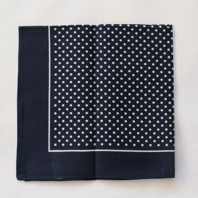 Etex Dětský bavlněný šátek modrý s bílými puntíky – Zboží Dáma