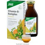 Salus Vitamin B komplex Pro psychickou rovnováhu 250 ml – Hledejceny.cz
