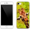 Pouzdro a kryt na mobilní telefon Apple Pouzdro mmCase gelové iPhone 8 - žirafa