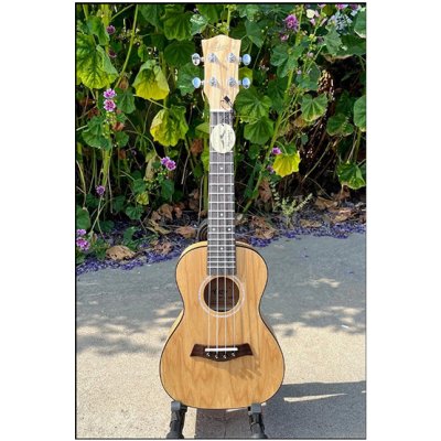 AIERSI SU024AD – Zboží Mobilmania