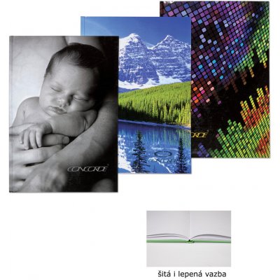 Concorde kniha záznamní lepená A4 čistý 100 listů – Hledejceny.cz