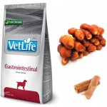 Vet Life Dog Gastrointestinal 2 kg – Zboží Mobilmania