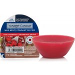 Yankee Candle vosk do aroma lampy Red Raspberry 22 g – Zboží Dáma