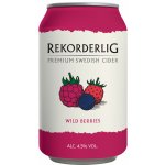 Rekorderlig Wild Berries Cider 24 x 0,33 l (plech) – Hledejceny.cz