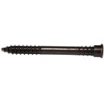 Vruty RAPI-TEC TERASO ANTIK 5,5x60mm TX25 nerez A4 – Hledejceny.cz