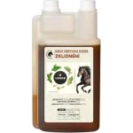 LEROS Leros Sirup Nervinae Horse 1 l – Hledejceny.cz