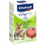 Vitakraft Vita Fit Solný kámen pro hlodavce 40 g – Zboží Dáma