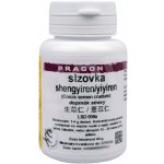 Sinecura slzovka shengyiren yiyiren 40 g instantní prášek – Hledejceny.cz