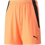 Puma teamLIGA Shorts Jr – Zboží Dáma