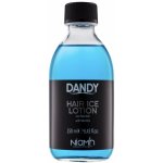 Niamh Hairkoncept Dandy Hair Ice Lotion posilující a osvěžující lotion 250 ml – Hledejceny.cz