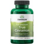 Swanson Cejlonská Skořice True Cinnamon 300 mg 120 kapslí – Hledejceny.cz