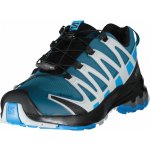 Salomon XA Pro 3D v8 GTX M L41629200 Legion blue /Blithe/Pearl blue – Sleviste.cz