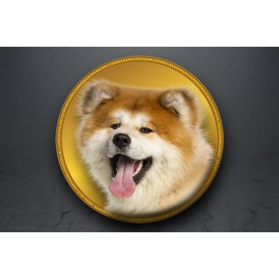 Emblém Akita Inu GL303/GL303_25 – Zboží Dáma Emblém Akita Inu GL303/GL303_25 – Zboží Dáma