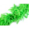 Karnevalový kostým Prima-obchod Bohaté boa krůtí peří 60 g délka 1 8 m 10 zelená sv.