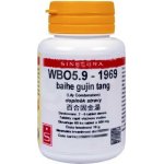 Sinecura WBO5.9-1969 baihe gujin tang 60 tablet – Hledejceny.cz