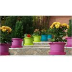 PLASTKON květináč Campanula 50 cm terakota – Zboží Dáma