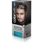 Colorwin Šampon pro muže k potlačení šedin 150 ml – Zboží Dáma