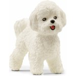 schleich Bišonek frisé 13963 – Sleviste.cz