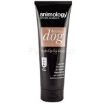 Animology šampon Derma Dog 250 ml – Zboží Mobilmania