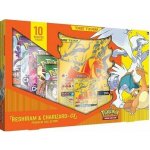 Pokémon TCG Premium Box - Reshiram & Charizard GX – Zbozi.Blesk.cz