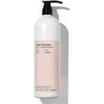 Back Bar Color Shampoo 01 Fig and Almon 1000 ml – Hledejceny.cz