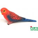 Atlas A Rosela červená 7,5 cm – Hledejceny.cz
