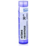 ACTAEA RACEMOSA POR 30CH GRA 1X4G – Hledejceny.cz